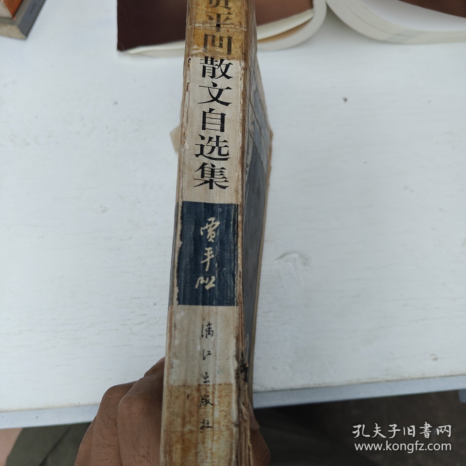 贾平凹散文自选集