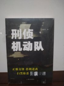 刑侦机动队