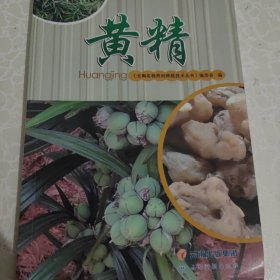 云南名特药材种植技术丛书:黄精