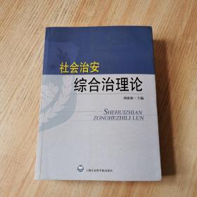 社会治安综合治理论