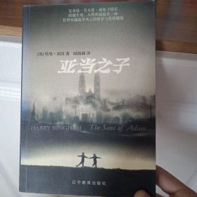 亚当之子