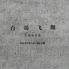 白鸽飞翔，民乐独奏曲。