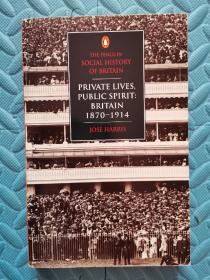 Private Lives, Public Spirit: Britain: 1870-1914 (Social Hist of Britain)