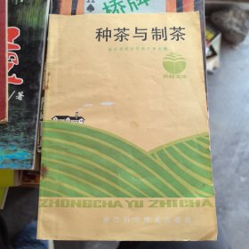 种茶与制茶