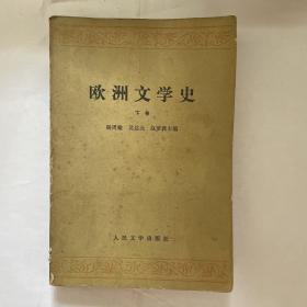 欧洲文学史（下）