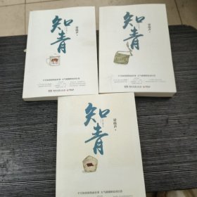 知青（梁晓声经典文学作品全3册）