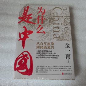 为什么是中国（金一南2020年全新作品。后疫情时代，中国的优势和未来在哪里？面对全球百年未有之大变局，中国将以何应对？）