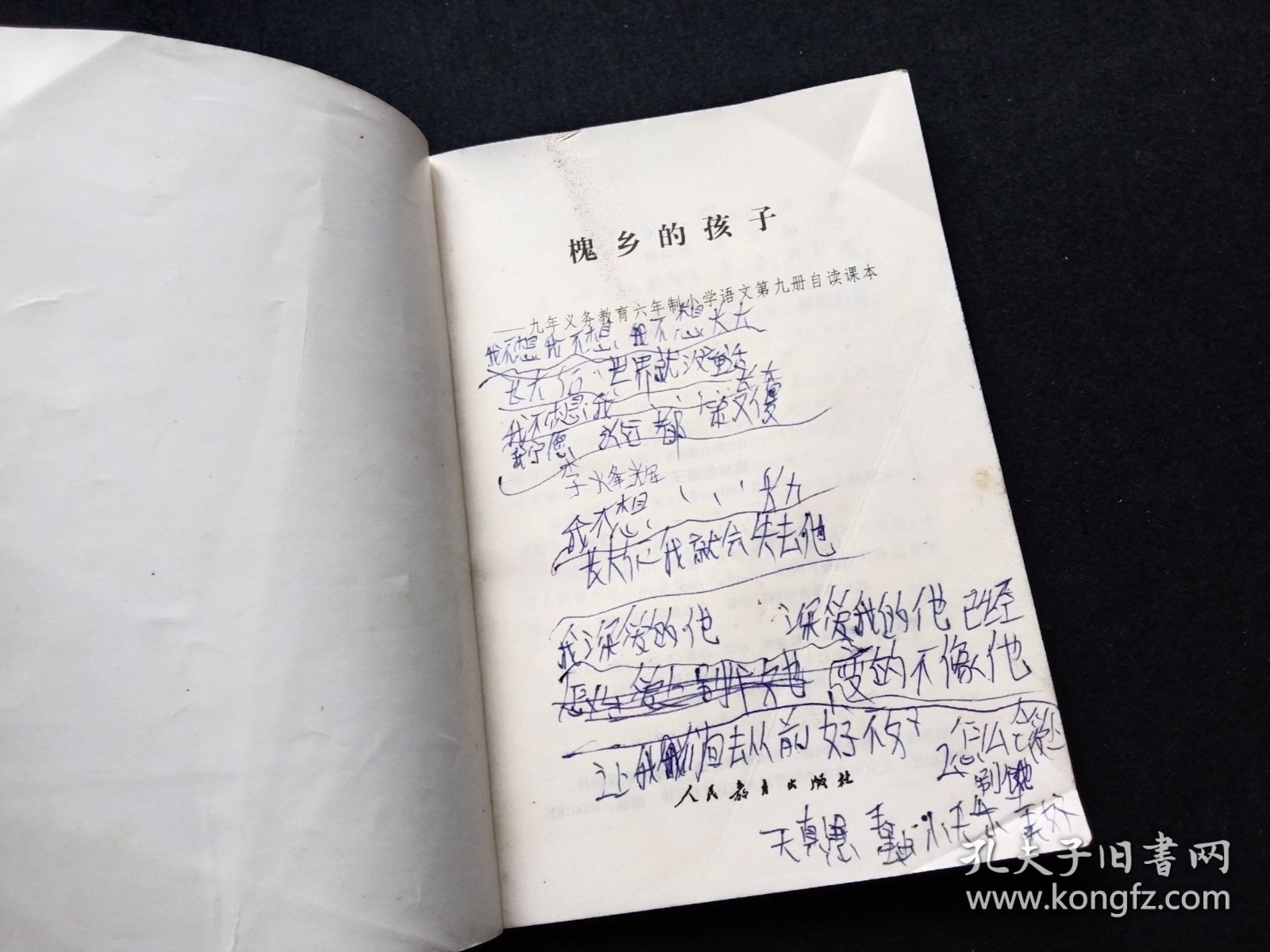 槐乡的孩子 九年义务教育六年制小学语文第九册自读课本