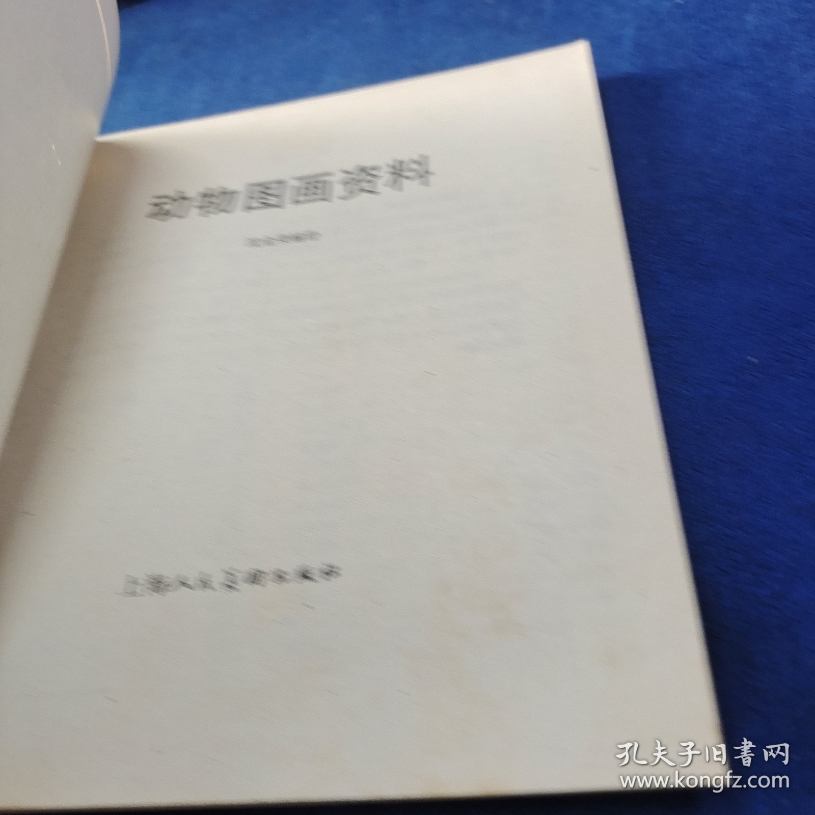 动物图画资料