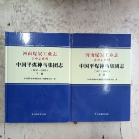 中国平煤神神马集团志(1991-2015)(全两册)