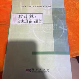 粒计算：过去、现在与展望