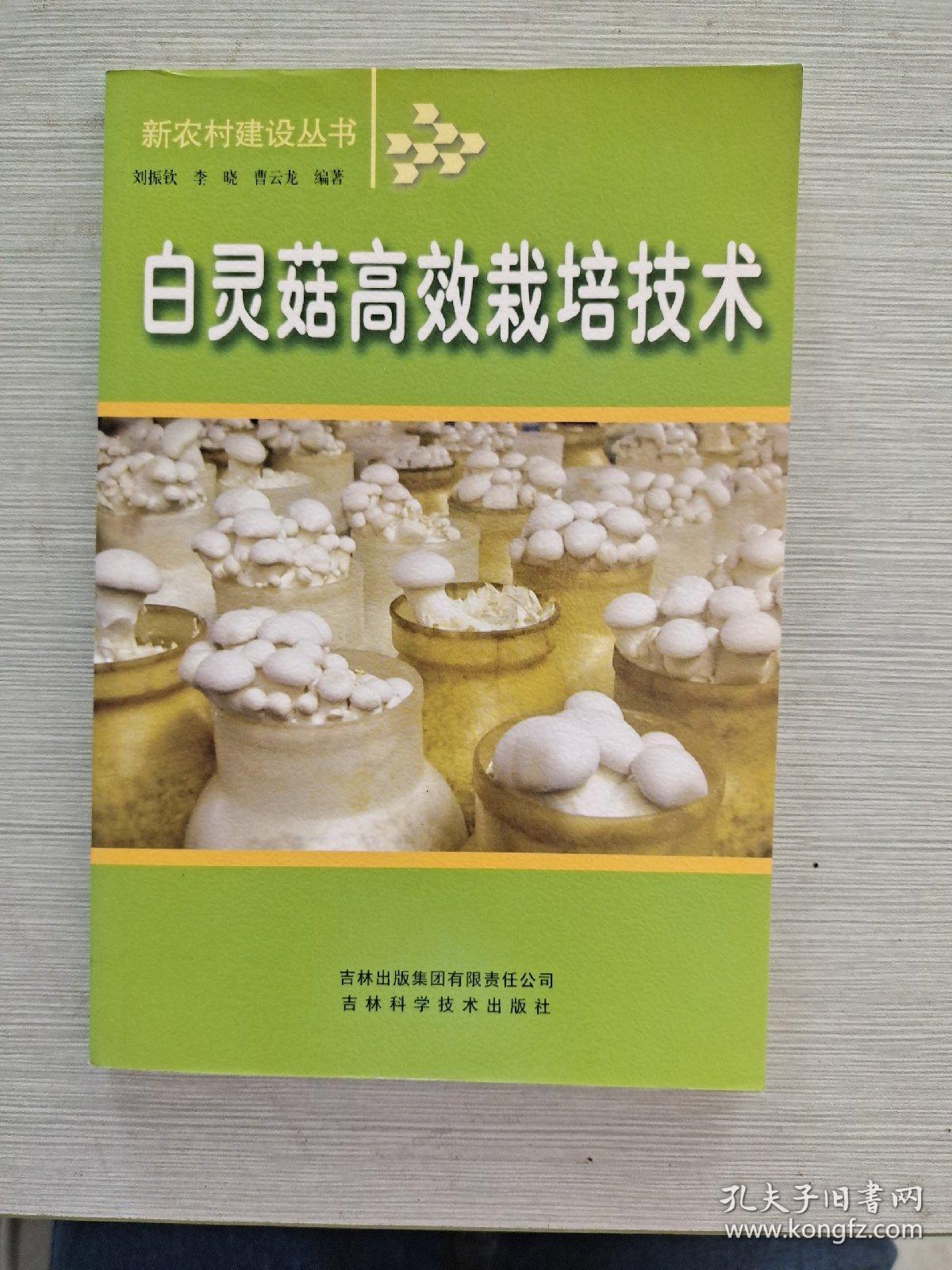 白灵菇高效栽培技术