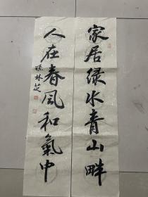 南京著名书法家 孙林芝 书法 对联 69/15.5/2/