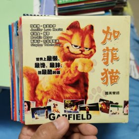 简装VCD 15张合售 加菲猫，海底总动员，星河战队，特洛伊等