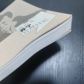 张近东苏宁管理日记