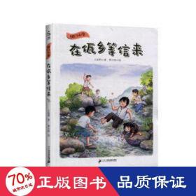 在佤乡等信来/国门小学 儿童文学 王新明