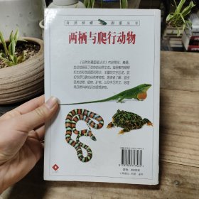 两栖与爬行动物：全世界400多种两栖与爬行动物的彩色图鉴