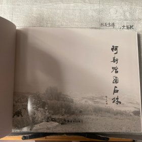 阿斯哈图石林 : 王义阿斯哈图石林摄影作品集（中国摄影社版2014年一版一印，8开铜版纸全彩印刷）