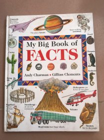 My big book of facts