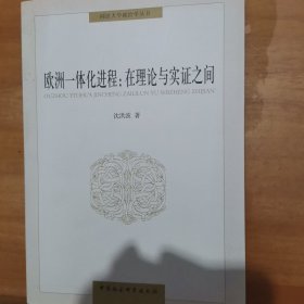 同济大学政治学丛书·欧洲一体化进程：在理论与实证之间