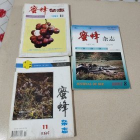 蜜蜂杂志（1993年1—8、12；1994年4、6、7、11、12；2001年8、9、11、12）共18本