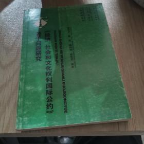 《经济、社会和文化权利国际公约》若干问题研究