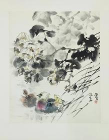 【杜振华】陕西著名实力派画家，康师尧入室弟子，西安中国画院画家、西安美协理事、陕西花鸟画理事，西安电子科技大学研究生院导师，作品曾入展第九届全国美展（优秀奖）、中国国家画院第一届作品展、全国第一届工笔画大展