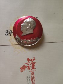 4800挺进像章