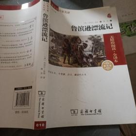 经典名著 大家名译：鲁滨逊漂流记（无障碍阅读 全译本 素质版）