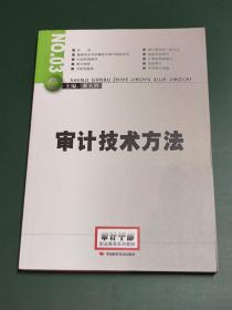 2014年高级审计师考试教材审计技术方法（沿用2013年版）