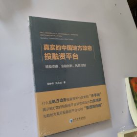 真实的中国地方政府投融资平台（未开封）