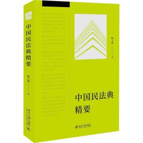 中国民法典精要 法学理论 杨立新 新华正版