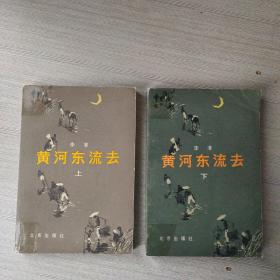 黄河东流去（上下）