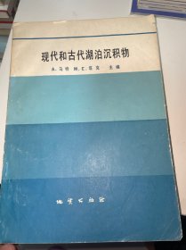 现代和古代湖泊沉积物（首页有字迹）