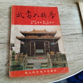 武当太极举