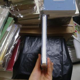 丰子恺全集 艺术理论艺术杂著卷二