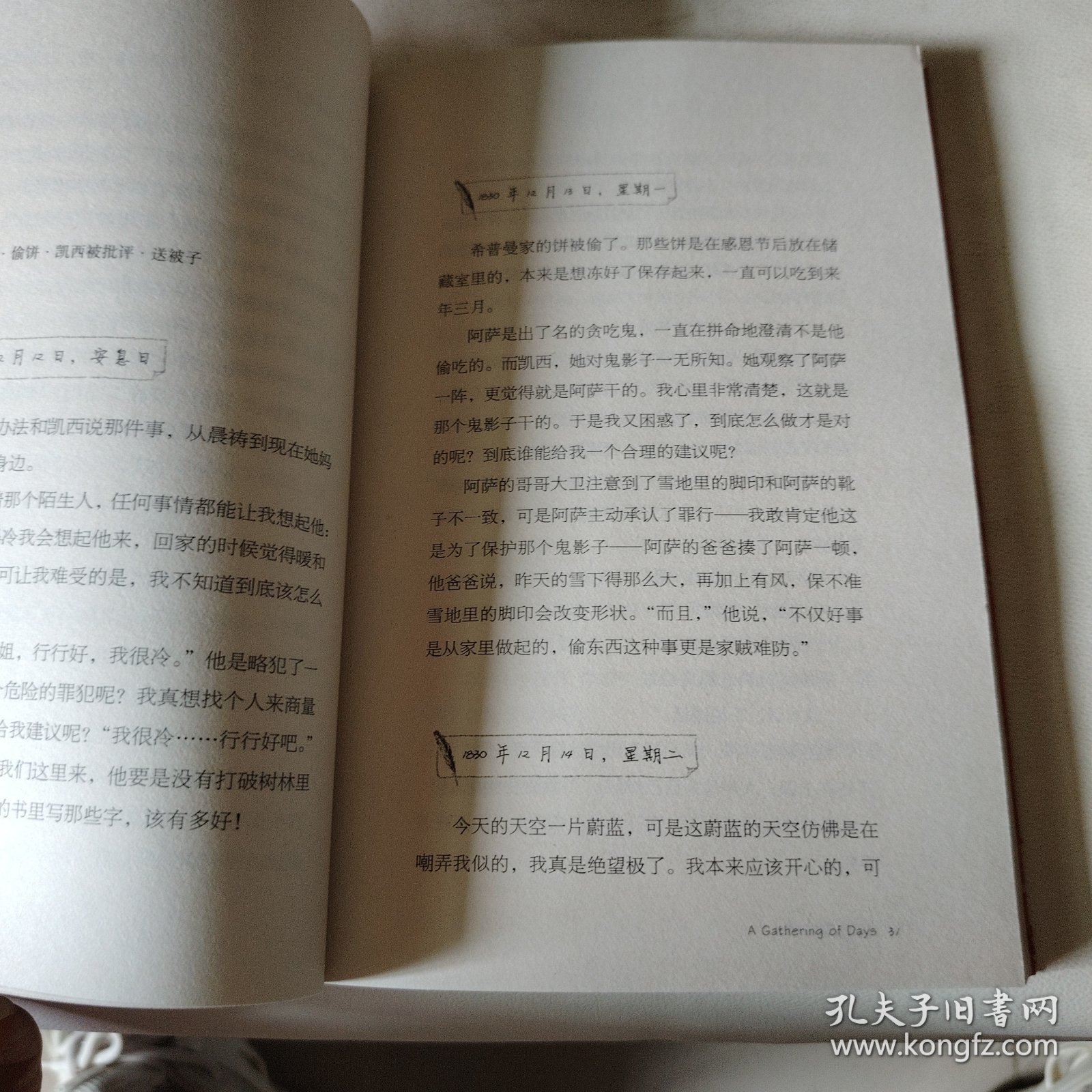 永不变老的日记：纽伯瑞儿童文学金奖