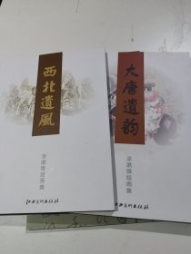 涂漱维绘画集.西北遗风 大唐遗韵（两本合售）