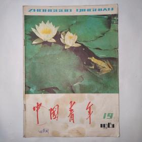 中国青年 1981年第19期（学会鉴别精华与糟粕，评醉入花丛，为什么先进分子遭孤立受打击？石头缝里钻出的苗，谈谈大姑娘的婚事，中学时代的鲁迅，缺点列举发明法，武昌枪声皇冠落，发喜糖背后，可爱的杜鹃花-歌曲）