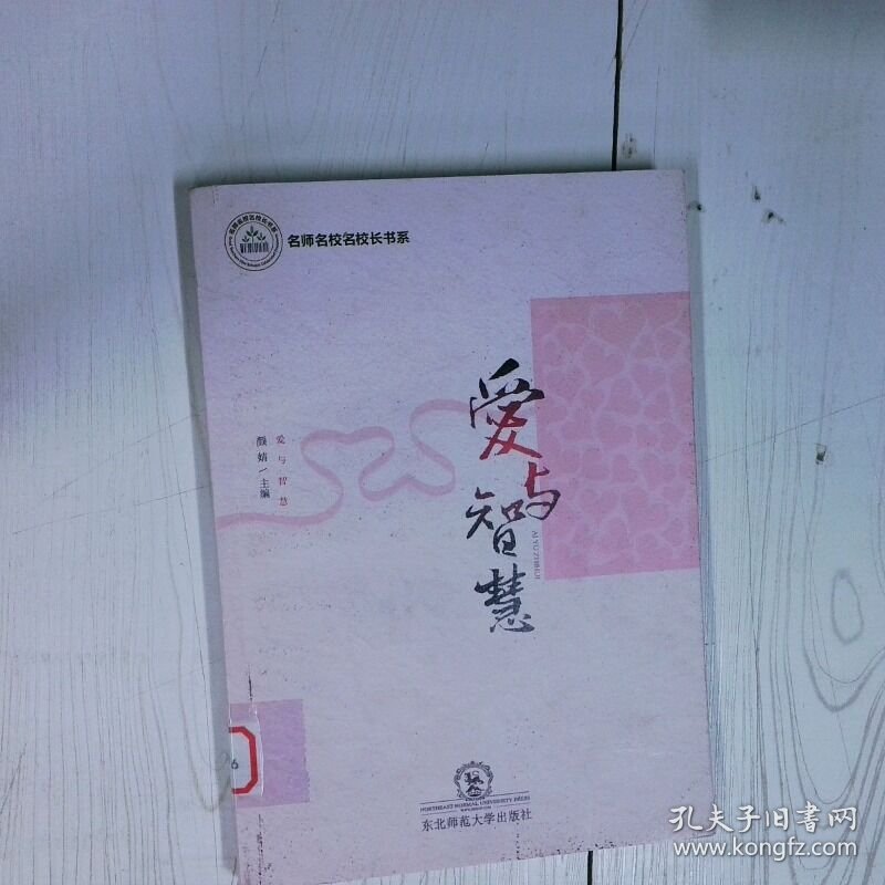 高温消毒发货 SEO教程 搜索引擎优化入门与进阶第3版  吴泽欣著 人民邮电出版社