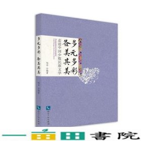 多元多彩各美其美-走进中国少数民族文学邹华知识产权出9787513040129