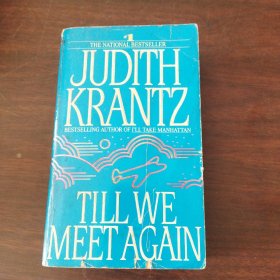 Till We Meet Again: A Novel（英文原版）