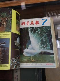 科学画报 1982年 12册 合订本  精装  1 2 3 4 5 6 7 8 9 10 11 12 （16开  精装 合订本  品好）