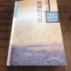 西湖的雪景
