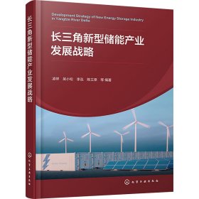 长三角新型储能产业发展战略 能源科学 作者 新华正版
