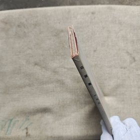 远望集