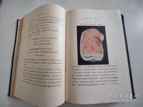 儿科学（全一册）上海 徐亚君 医师 签名藏书（1935年中文版、精装多彩图，有原书封套、内有老藏书票）医学博士 中村政司著.医学博士周颂声 医学士冯启亚 共译 出版者 日本财团法人同仁会 中华民国总经销处