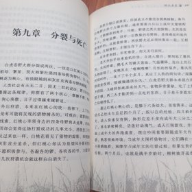 野犬女皇：动物小说大王沈石溪.品藏书系