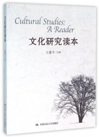 Cultural studies a reader