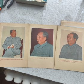 毛主席万岁（大16开彩色毛主席画片14张）